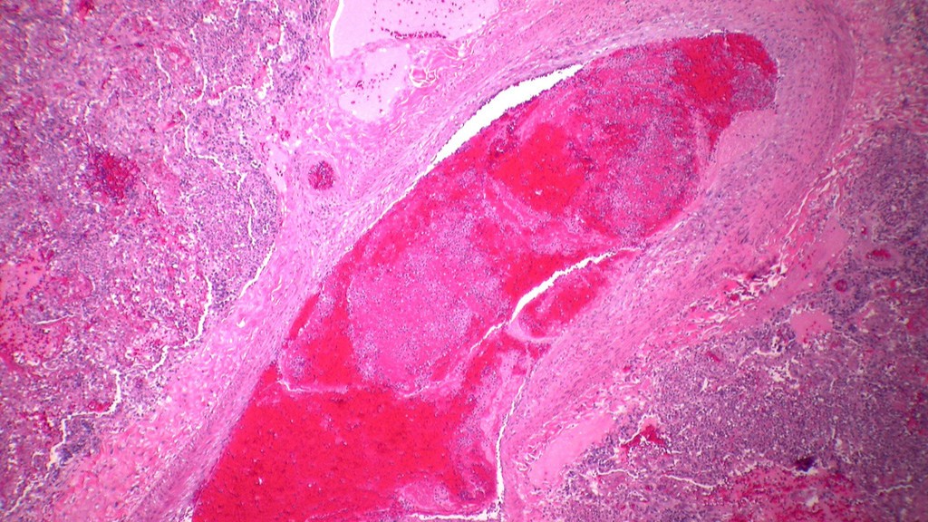 Investigación tecnológica